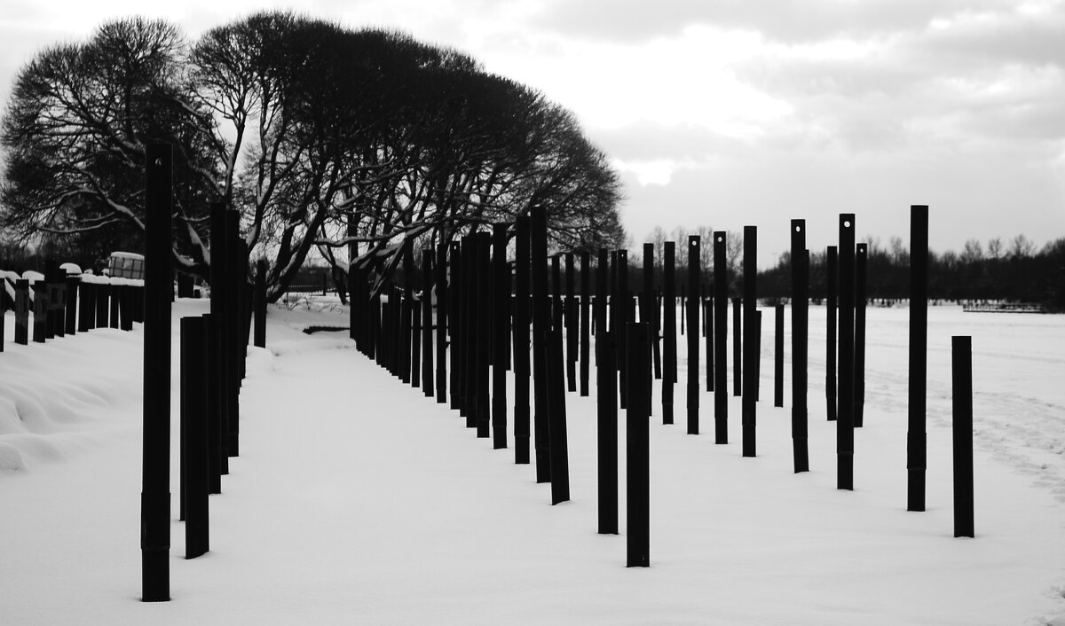 В едином строю. - Василий Палий