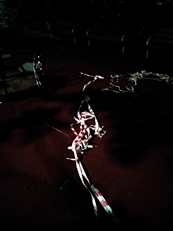 *** - Сергей Полянский