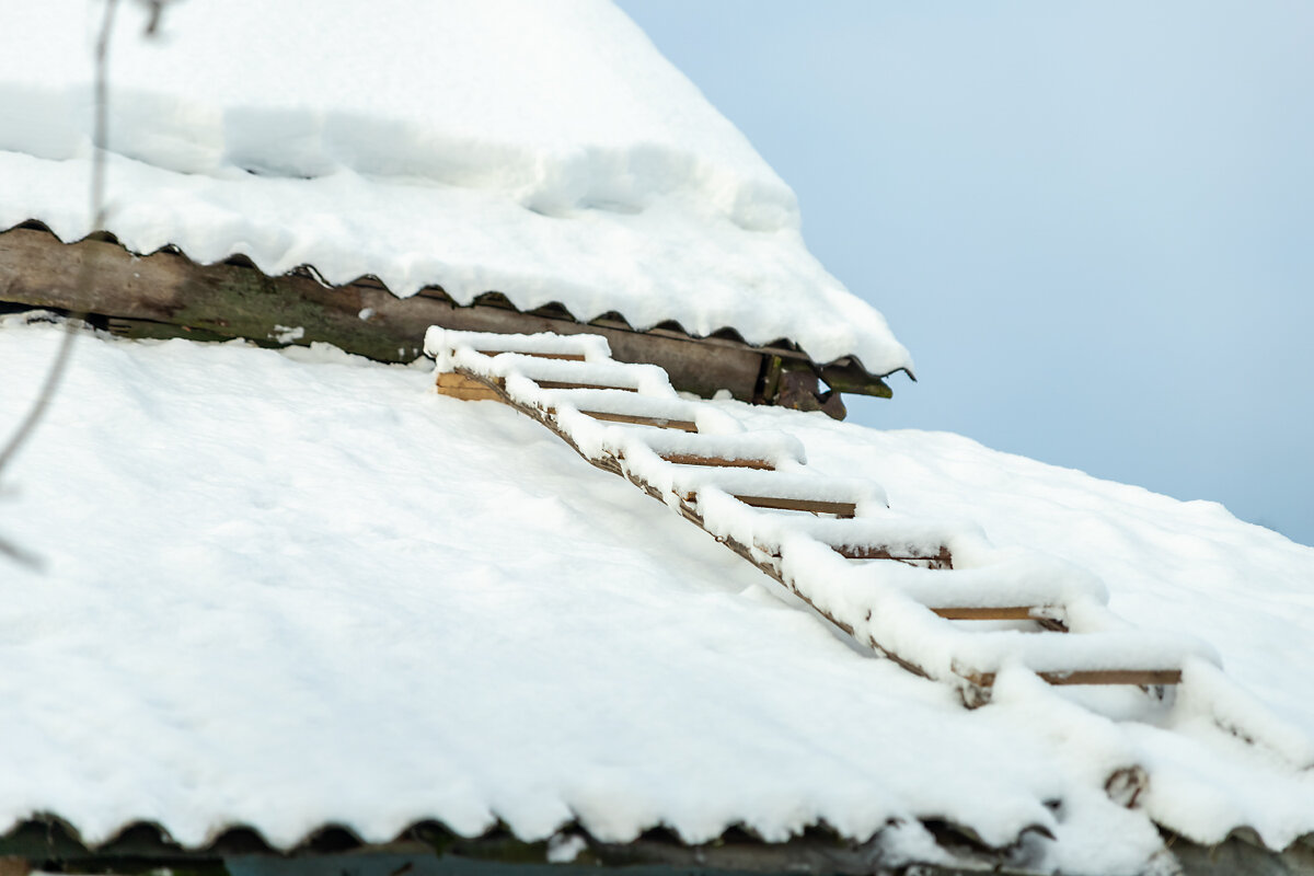 Снежная крыша - Александр 
