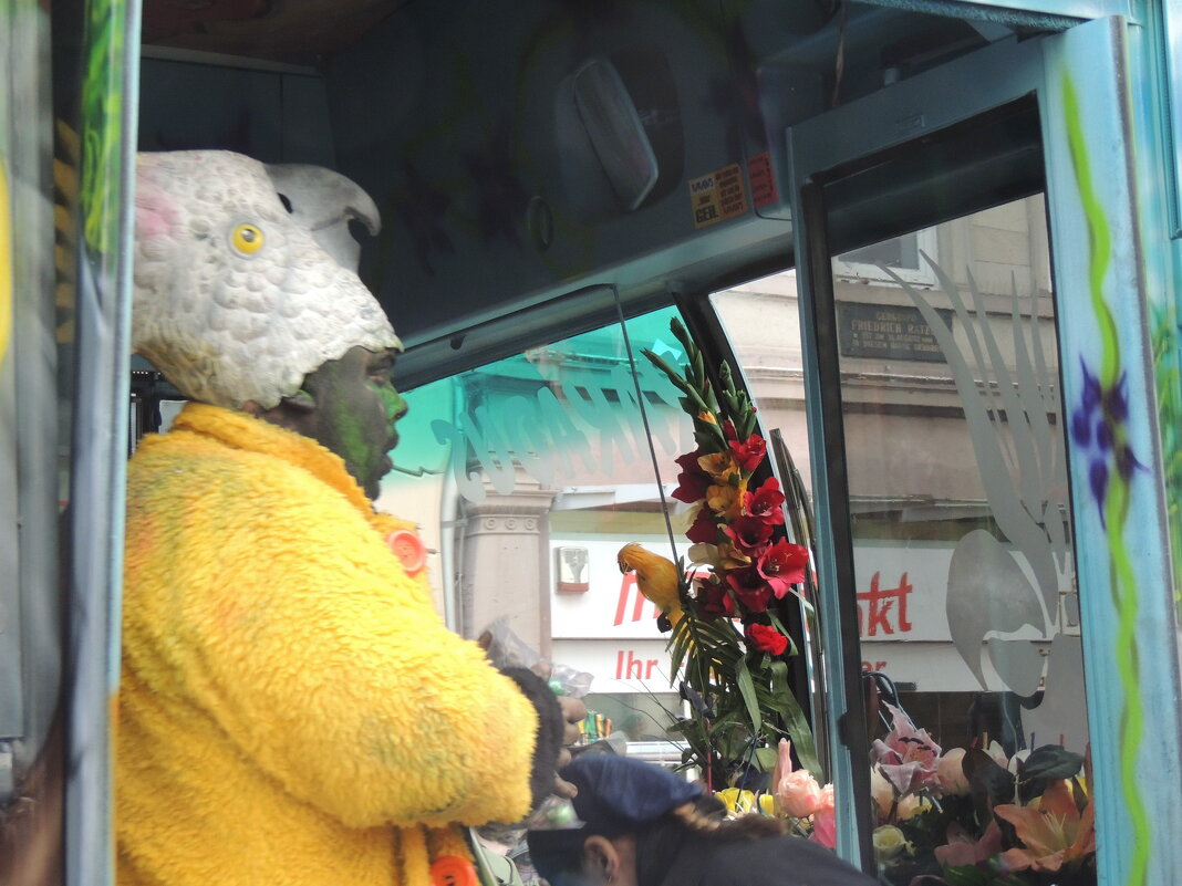 Попугай - Алла Булашевская