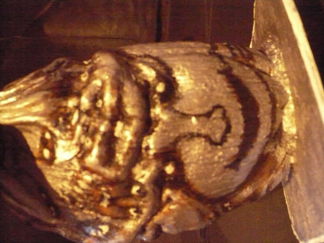 Многоликость .,,( Скорлупа кокоса) - Валерий Кокорев