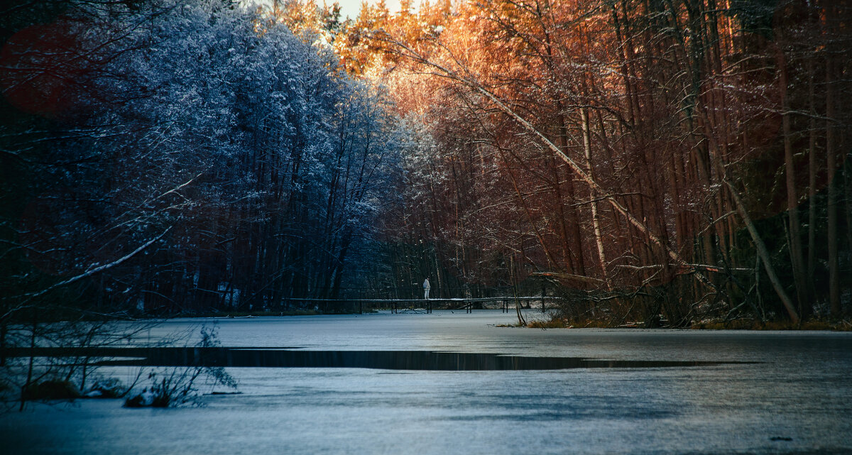 Поздняя осень. Ручей Рябиновка - Вячеслав Владимирович