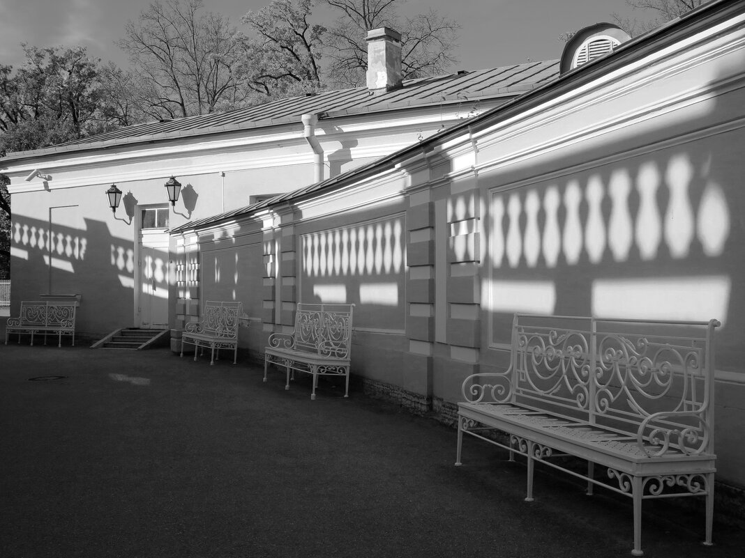 Свето-тени - Наталья 