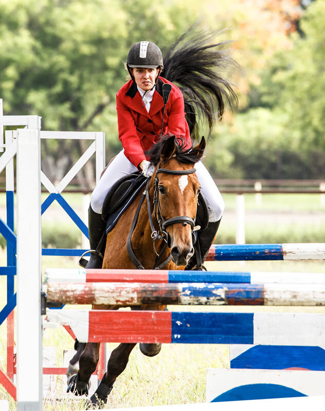 Конкур - SanSan 