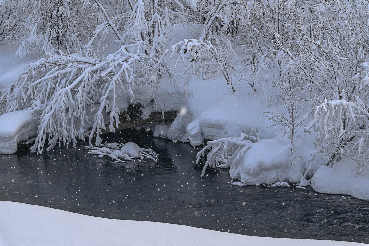 ... - Жора Житников