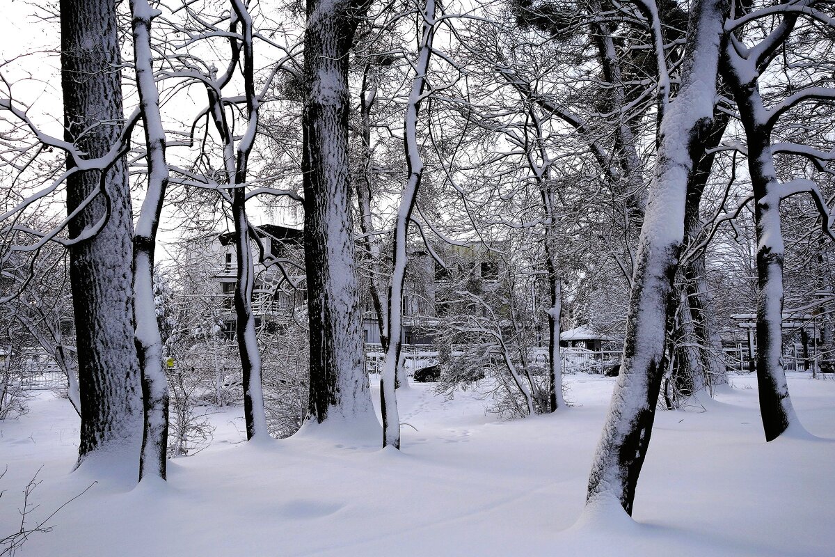 Парк Южный, Калининград - Рита Симонова