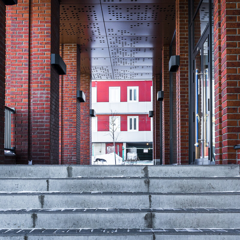 Городской пейзаж с собакой - Александр Бродский