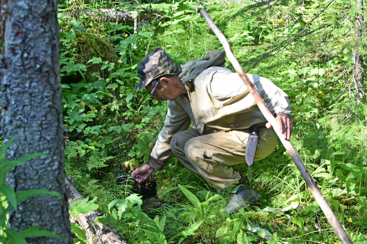 Воды напиться ключевой... - ВикТор Быстров Воды напиться ключевой... - ВикТор Быстров