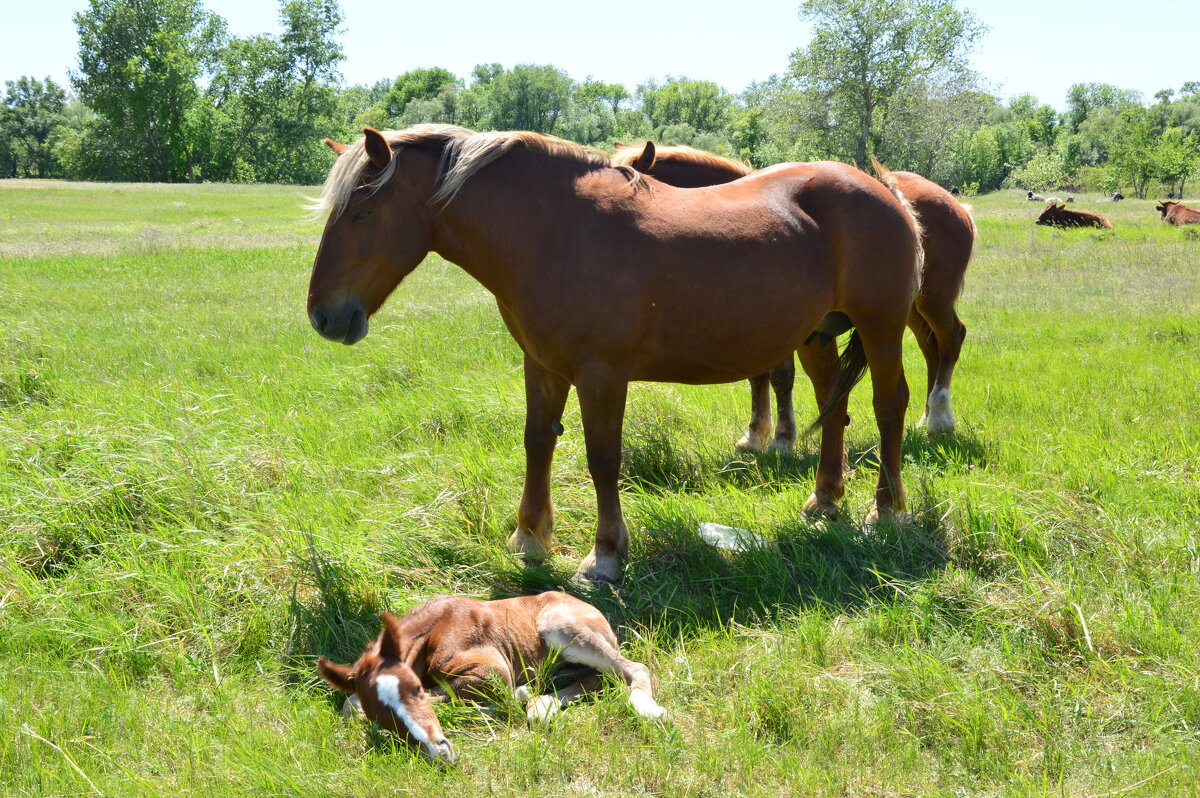 С мамой. - Виктор 