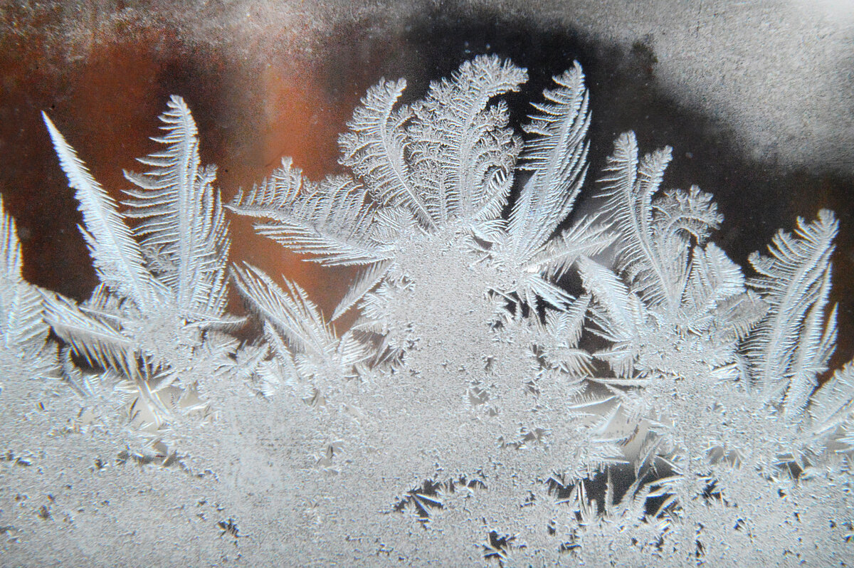 Неведомо, какой волшебной кистью, Мороз - художник, пишет по ночам... - Надежда Куркина 