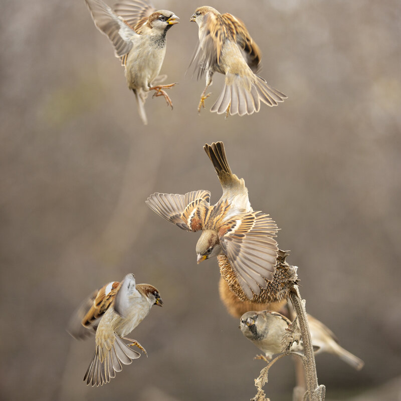 Разборки - Валерий Черняк