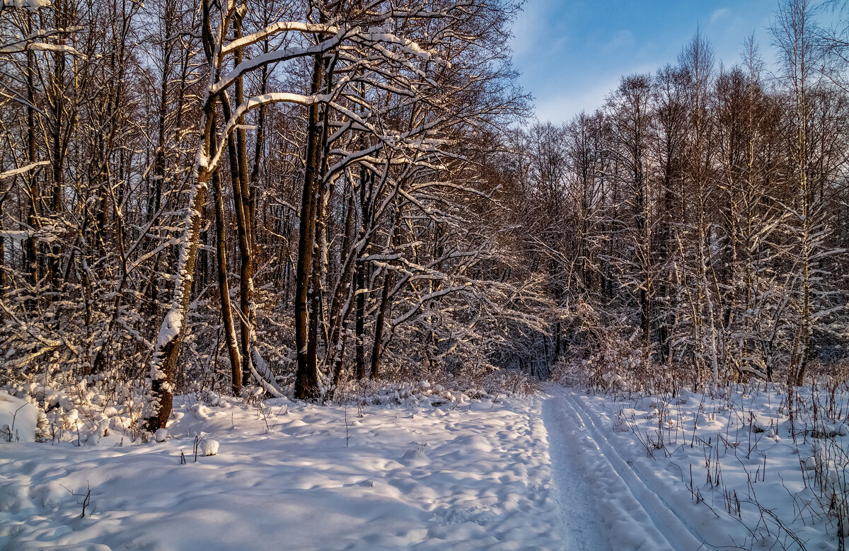 Первые дни нового года 10 - Андрей Дворников
