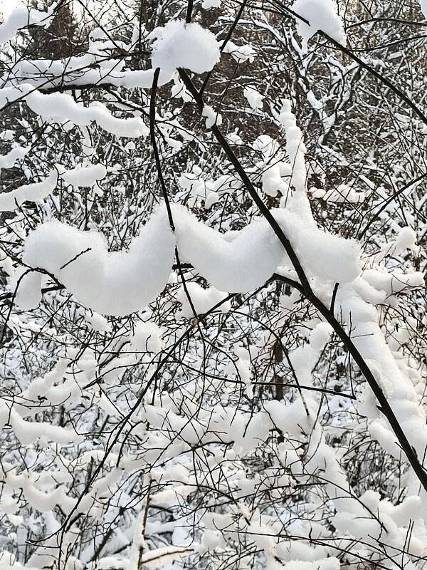 Как такое возможно то? - Ирина 