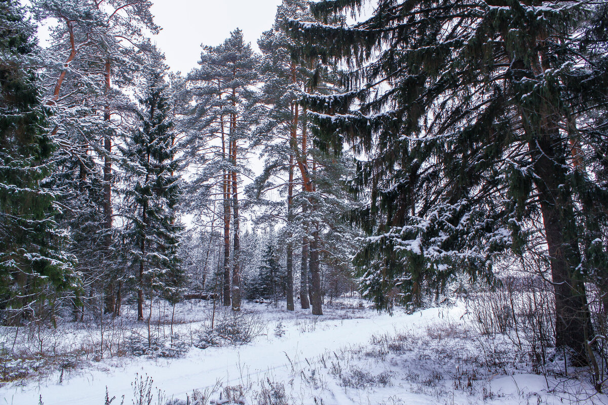 зимушка - Владимир Зеленцов