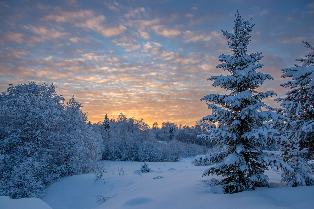*** - Андрей Дурапов *** - Андрей Дурапов