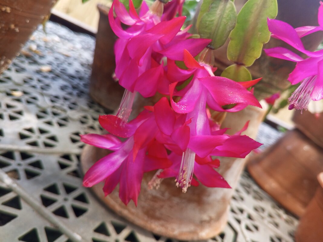 Шлюмбергера - Сапсан 