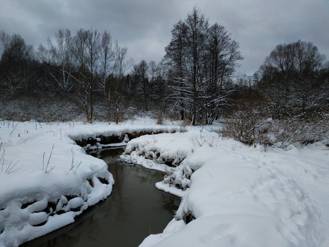 Скромное обаяние московской зимы - Андрей Лукьянов