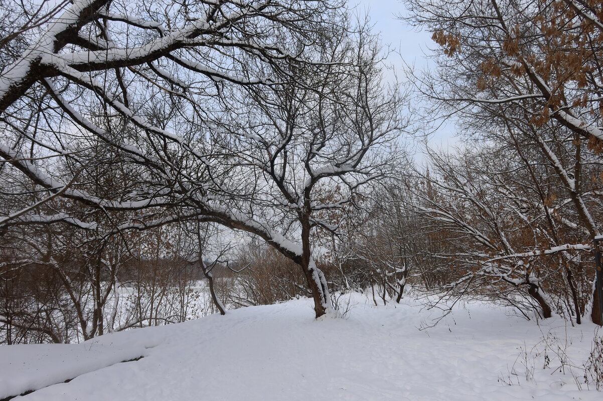 Зима - Дмитрий И_