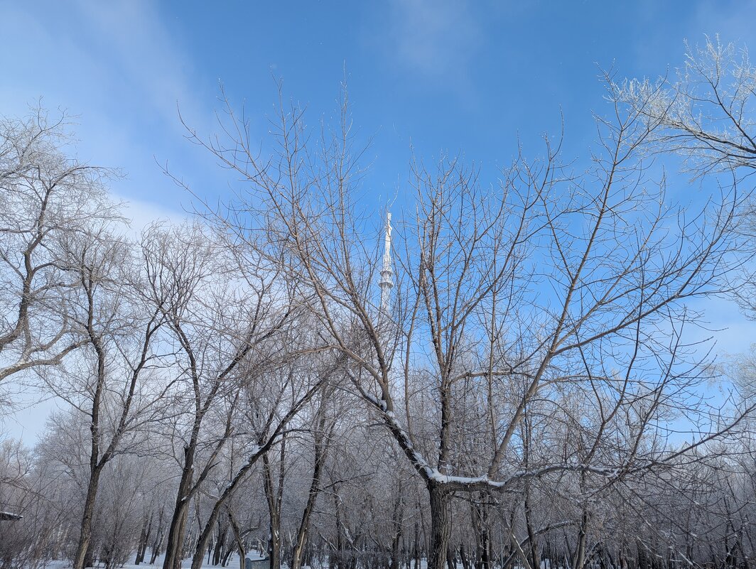 Январь - Андрей Хлопонин