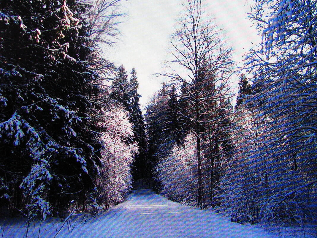 В лесу - Людмила Смородинская
