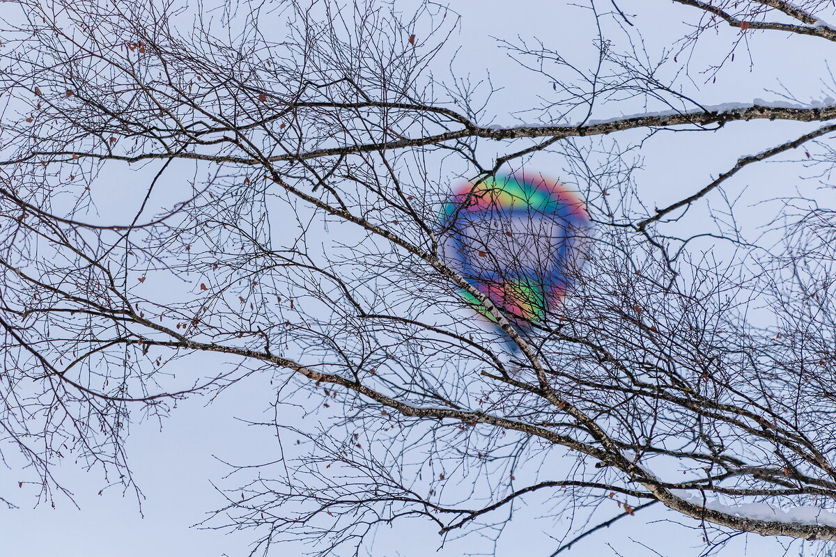 В январском небе. - Анатолий. Chesnavik.