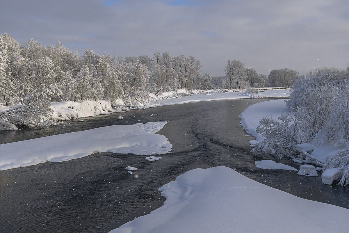 ... - Жора Житников