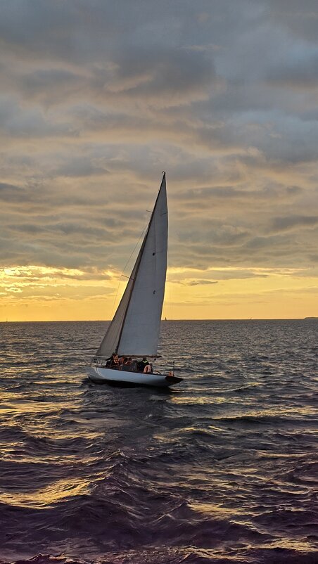 Белеет... - ast62 