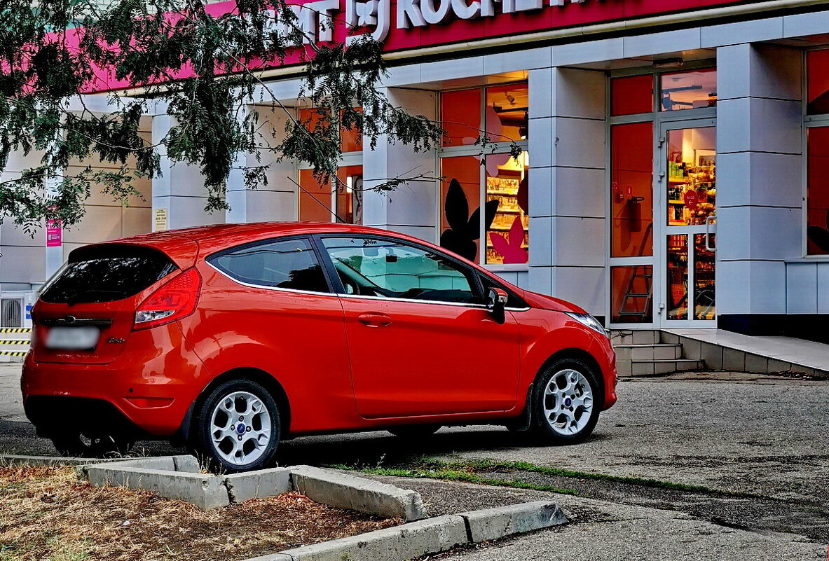 За покупками... - Николай Саржанов