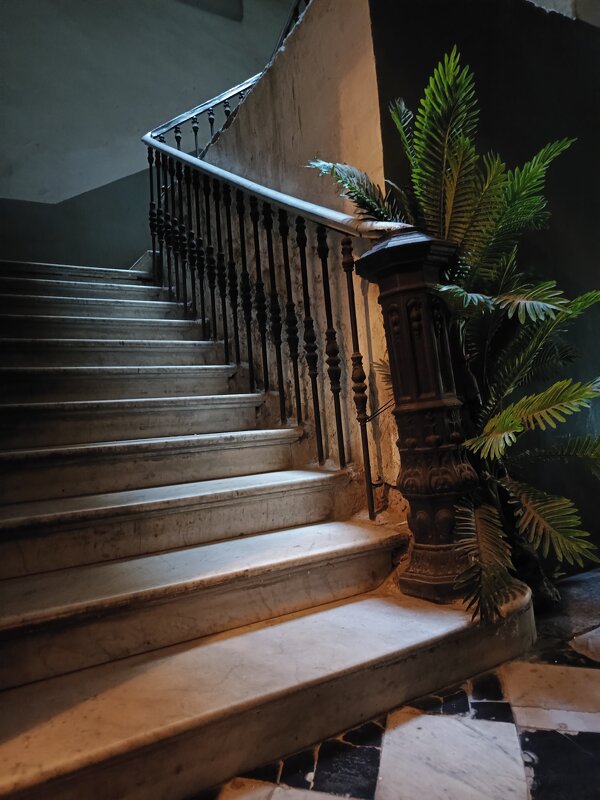 Лестница - nadegda karpova 