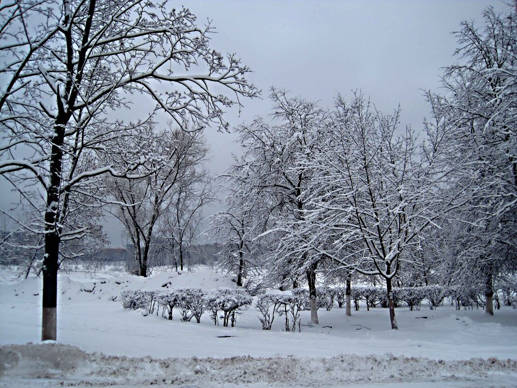 Зимой - Елена Семигина