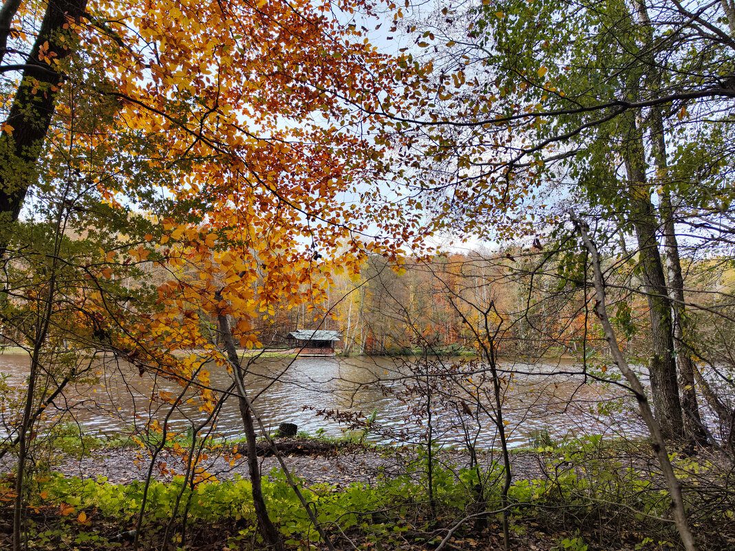 ------------ - igor G.