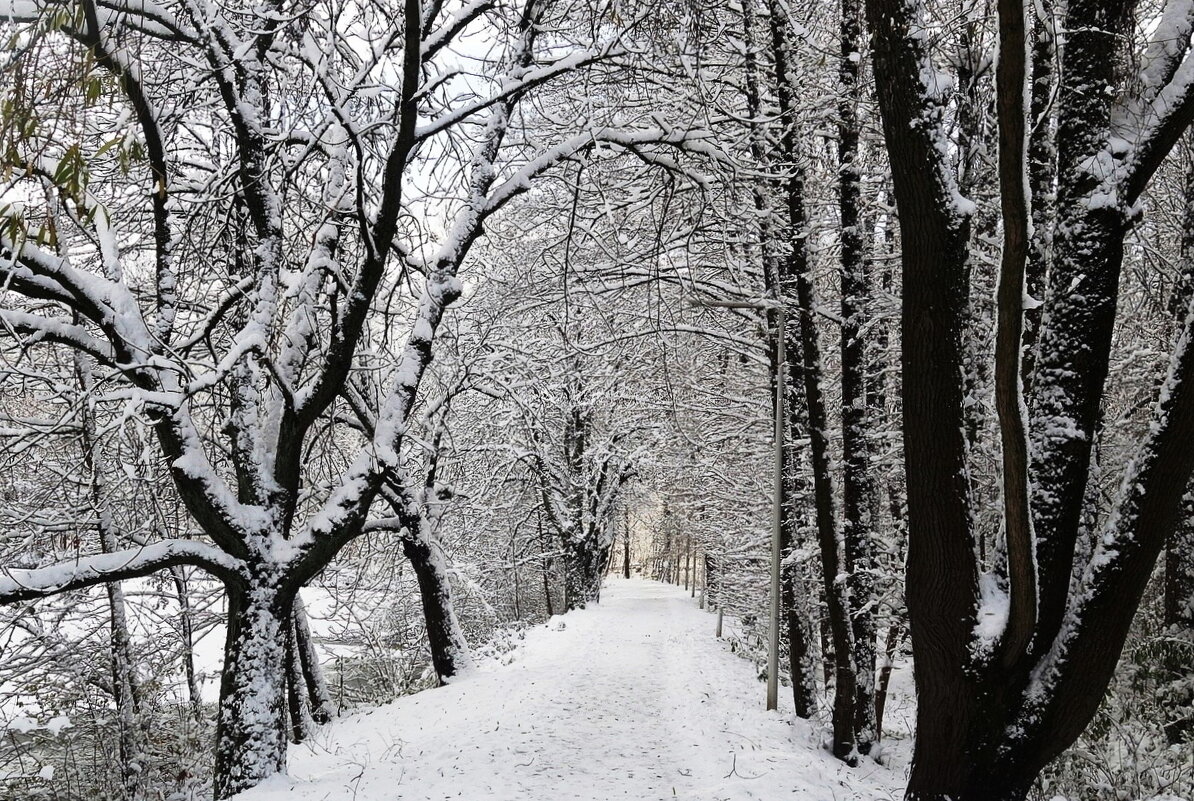 Парк Южный, Калининград - Рита Симонова