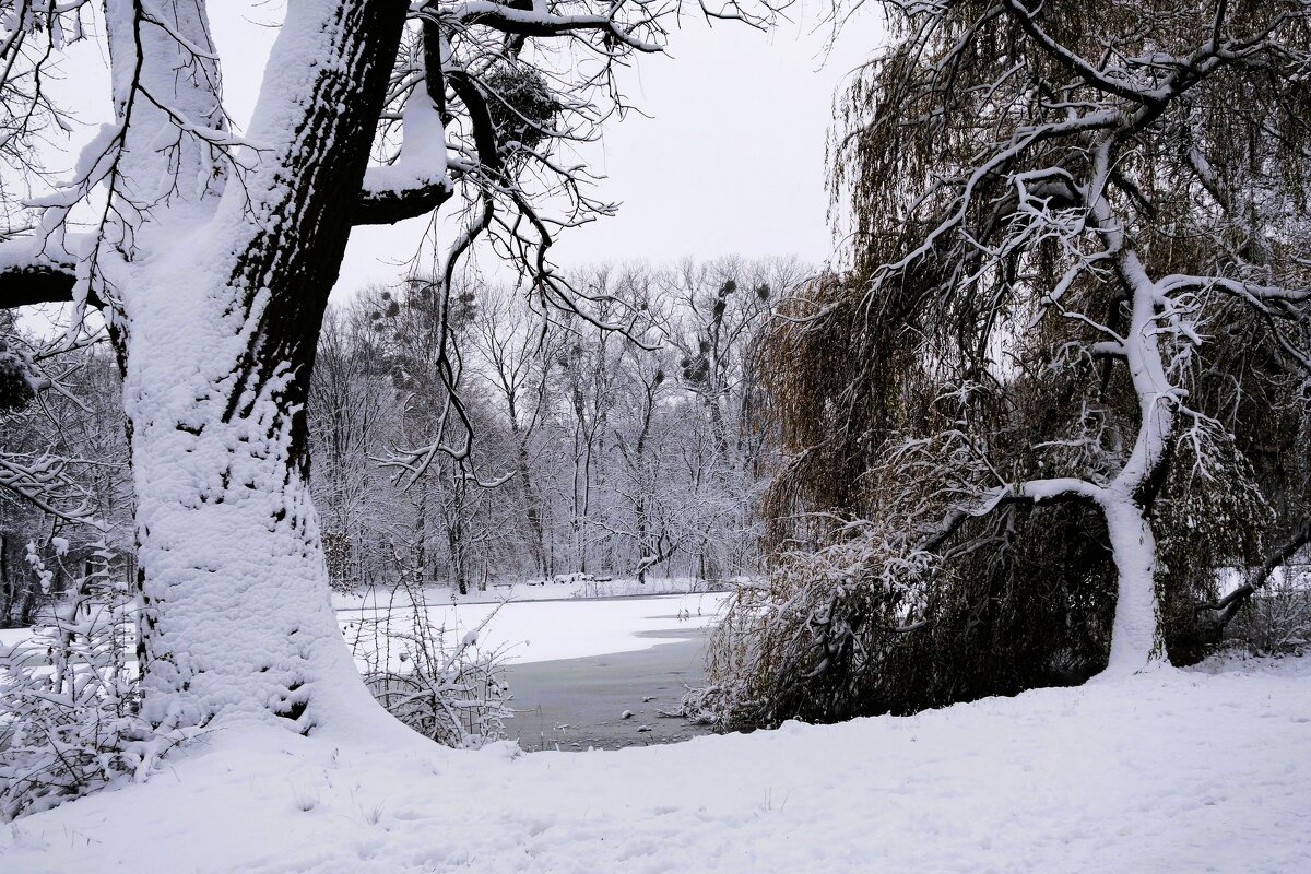 Парк Южный, Калининград - Рита Симонова