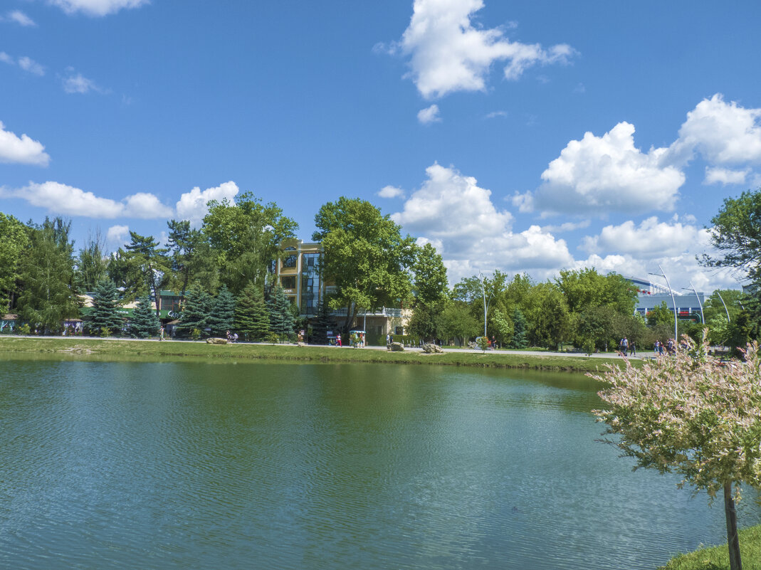 Летний парк  Гагарина - Валентин Семчишин