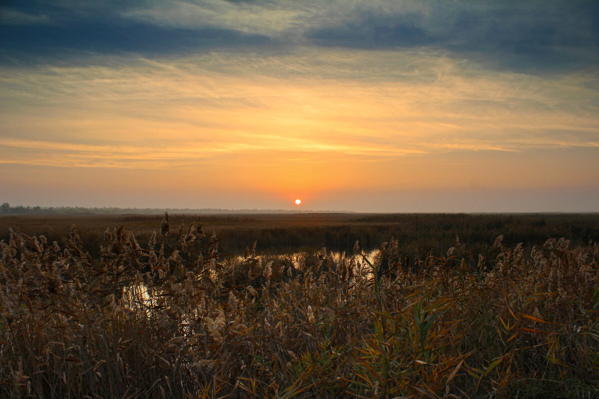 Утро. - Александр. AVG100 --- Утро. - Александр. AVG100 ---