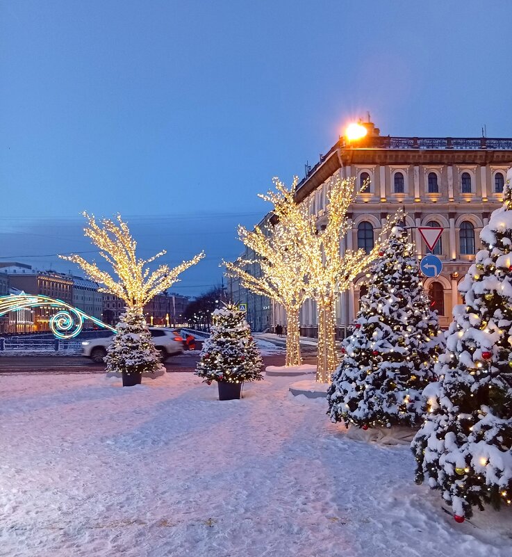 Новогодний Петербург . Зимний сад у Мариинского дворца. - Наталья ***