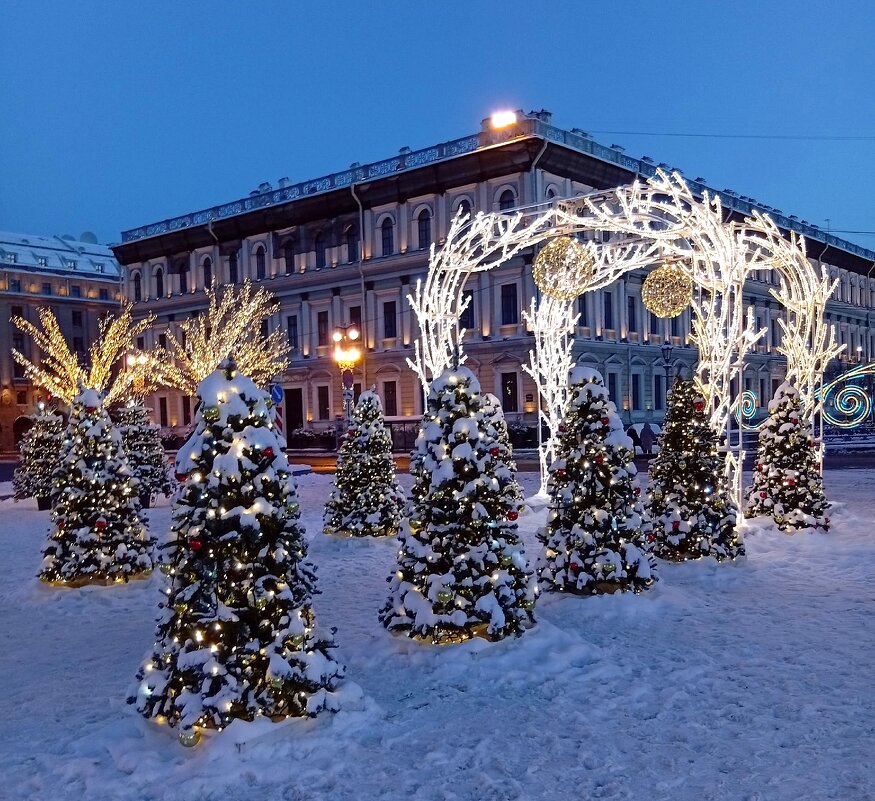Новогодний Петербург . Зимний сад у Мариинского дворца. - Наталья ***