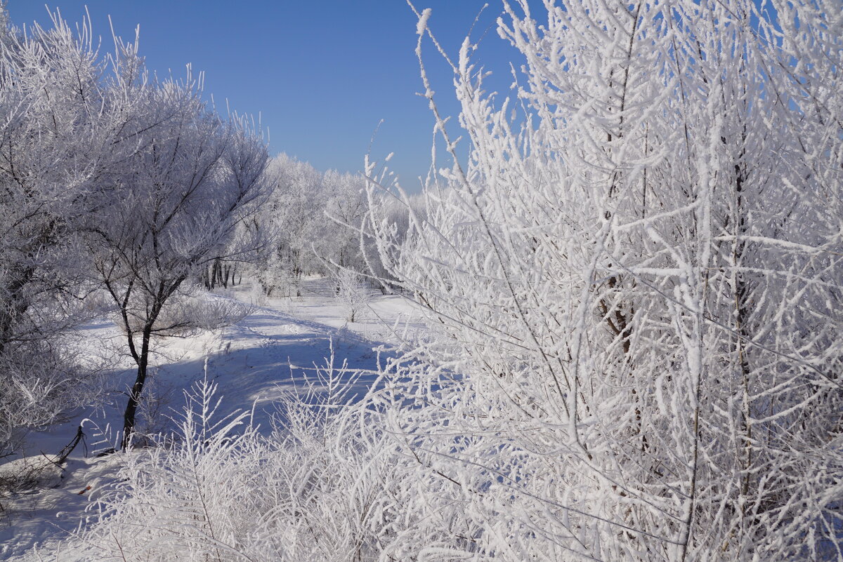 Зимнее - Наталия Григорьева