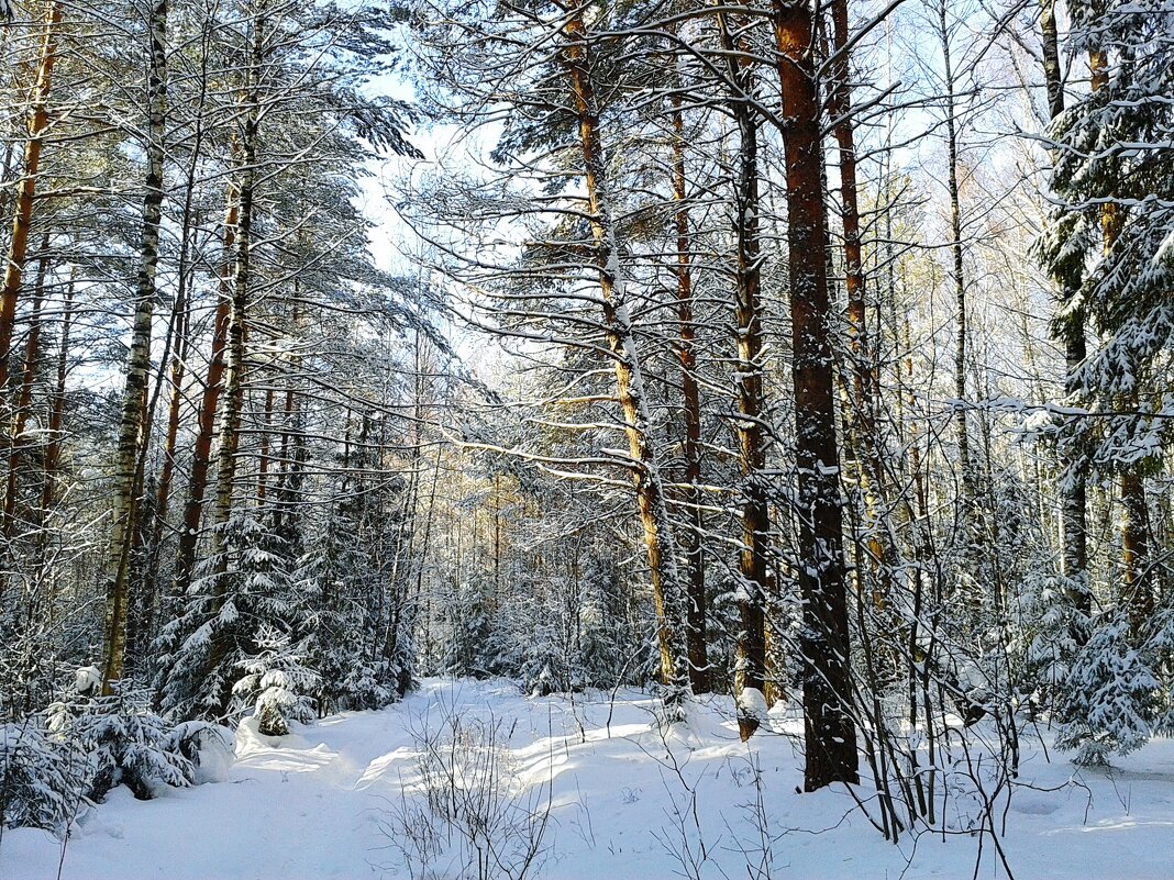 солнечный день - Владимир 