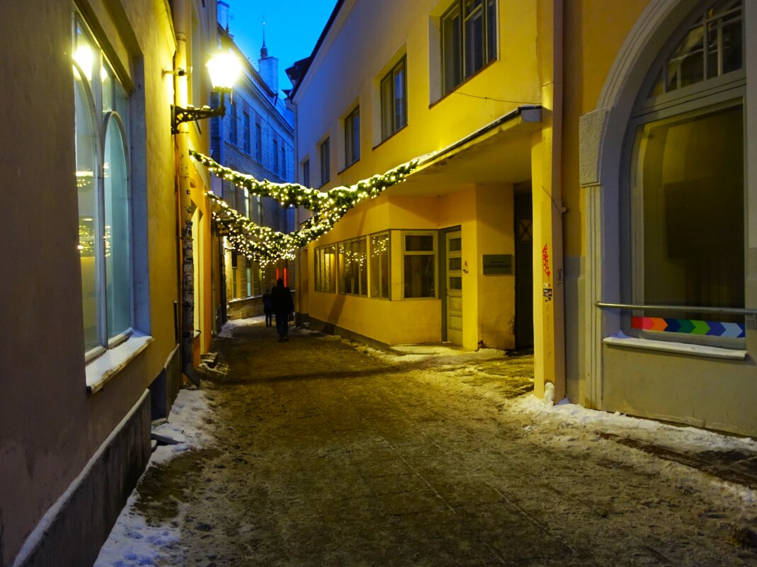 Еще не скоро гирлянды снимут.. - Aida10 