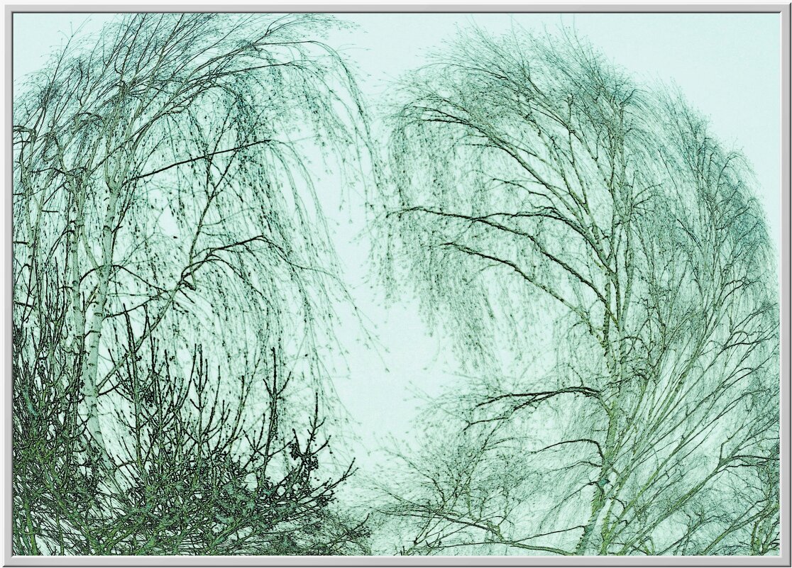 ЭТЮД... - Elvira E. 