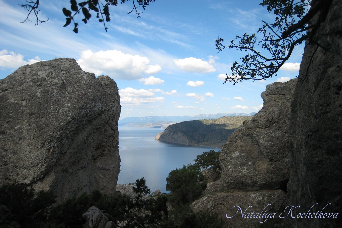 Природа Крыма - Amazing Cosmea