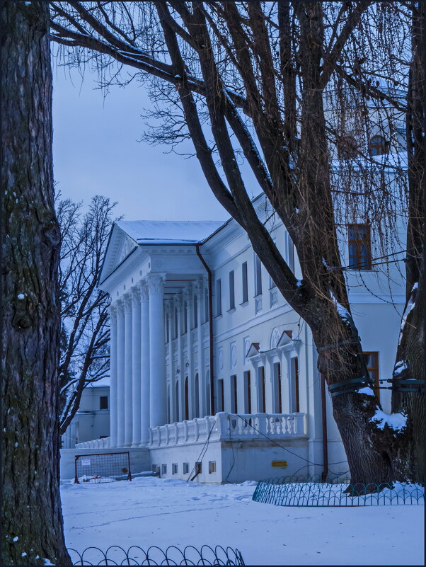 Зимний день - Наталья Rosenwasser