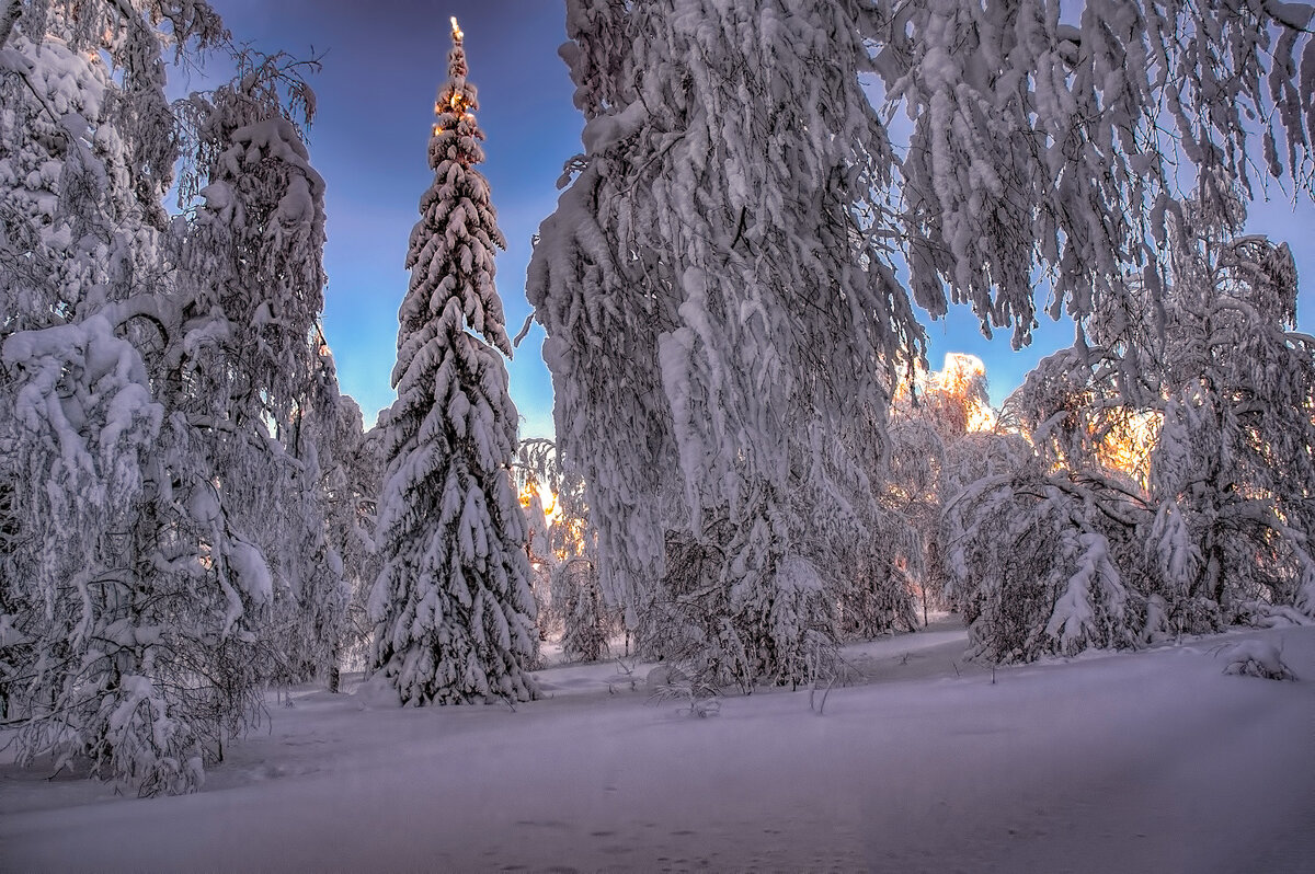 Зимняя сказка - Vladimbormotov 