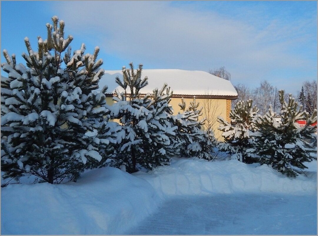Зима - Валентина Надсон