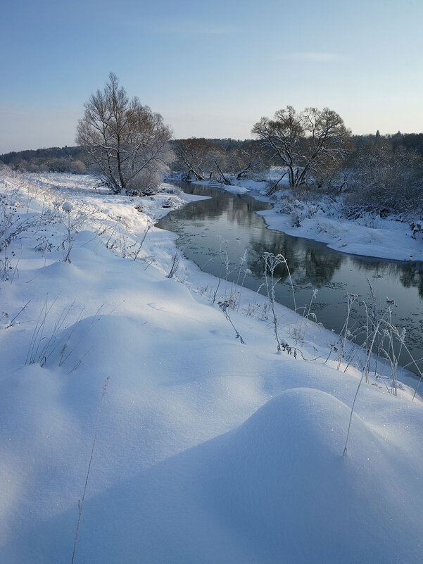 На берегу Протвы - Сергей Курников