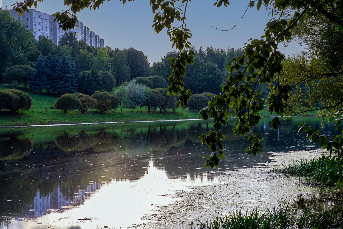 Отражение.р, Мухля - Lucy Schneider 