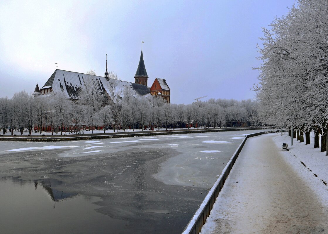Река Преголя и собор - Сергей Карачин
