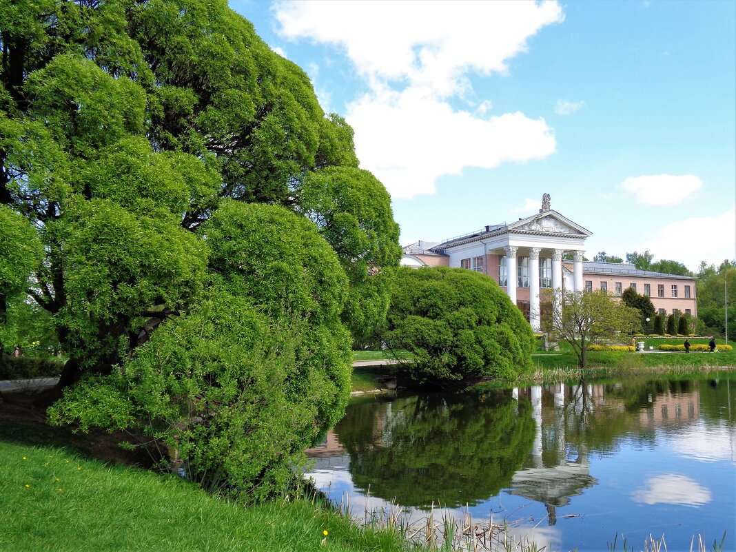 Ботанический сад - Наталья 