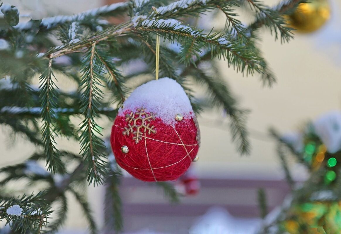 Шарик, Рождество - ZNatasha -